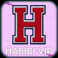 HABIBI VPN