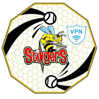 Stinger VPN