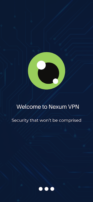 Nexum VPN - Safer Internet Screenshot3