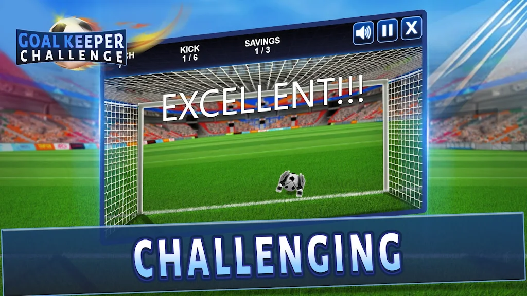 Goalkeeper Challenge Screenshot3