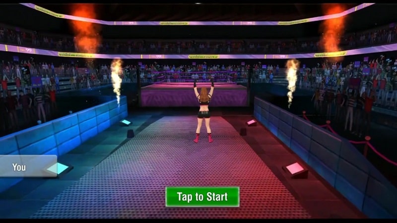 Bad Girls Wrestling Fighter Screenshot2