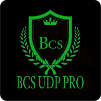 BCS UDP PRO - Secure VPN