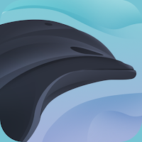 Dolphine vpn