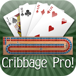 Cribbage Pro