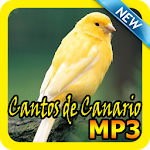 Cantos de Canario Mp3