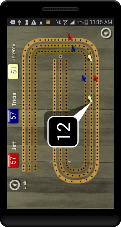 Cribbage Pegboard Screenshot3