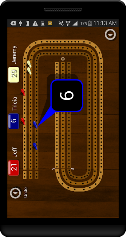 Cribbage Pegboard Screenshot2