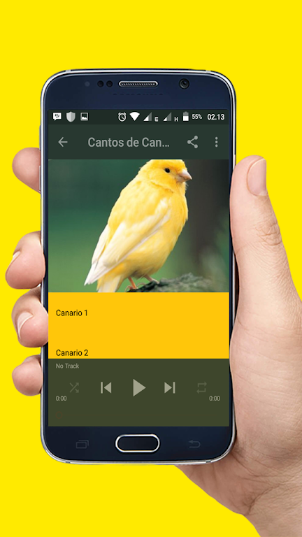 Cantos de Canario Mp3 Screenshot3