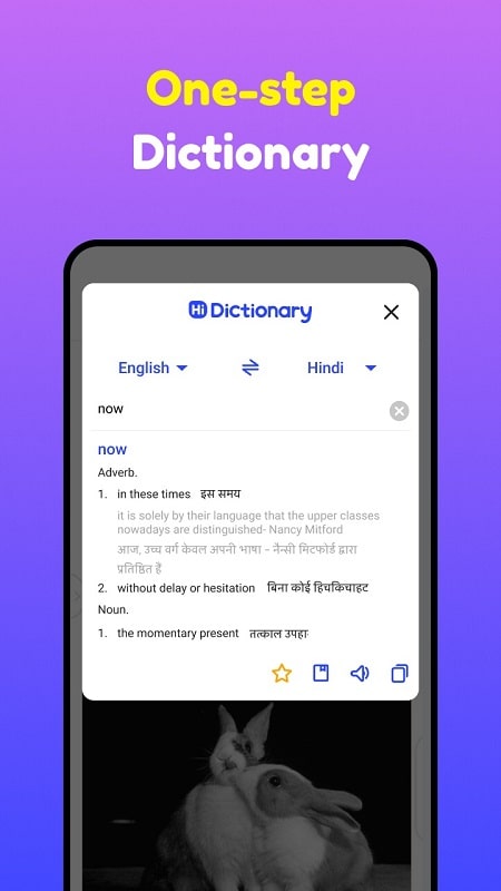 Hi Dictionary Screenshot3