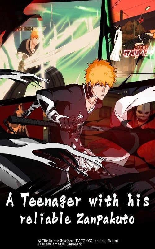 BLEACH Mobile 3D Screenshot1