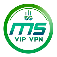 MS VIP VPN