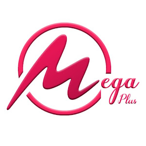 Mega  Plus Vpn