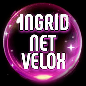 INGRID NET VPN