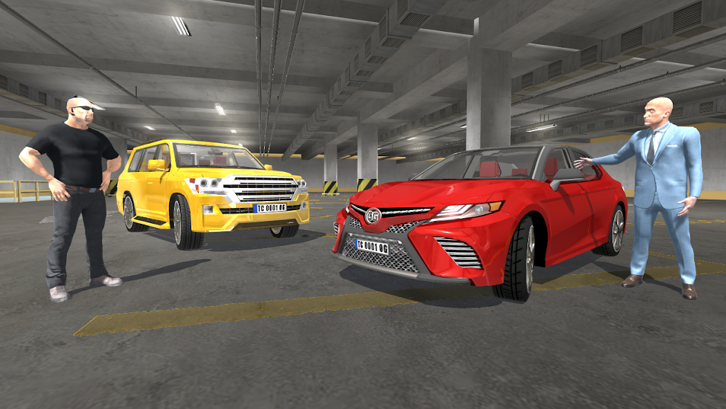 Car Sim Japan Mod Screenshot1