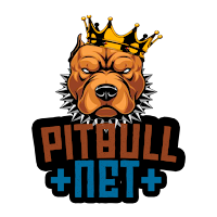 PITBULL VPN 5G+