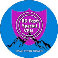 BD FAST SPACIAL VPN