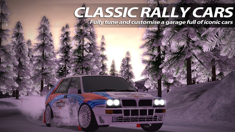 Rush Rally 2 Screenshot2