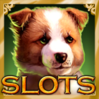 Casino Slots Mania Machines