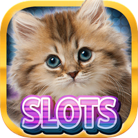 Casino Kitty Free Slot Machine