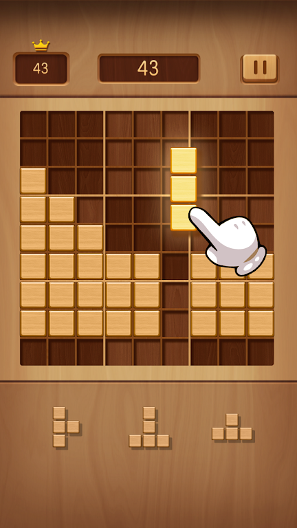 Wood Block Doku Screenshot1