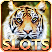 Slot Machine : Wild Cats