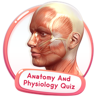 Human Anatomy And Physiology Quiz