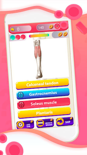 Human Anatomy And Physiology Quiz Screenshot4