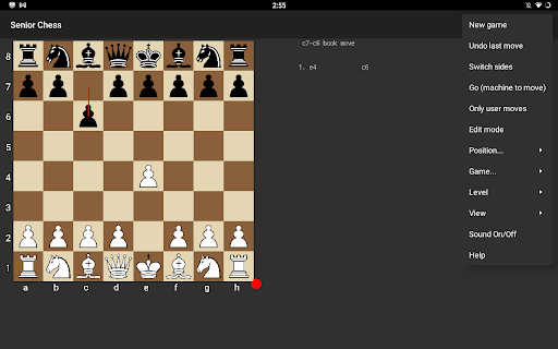 Senior Chess Screenshot3