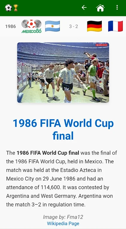 The Foot World Cup Screenshot3