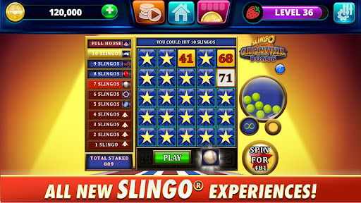 Slingo Arcade: Bingo Slot Game Screenshot2