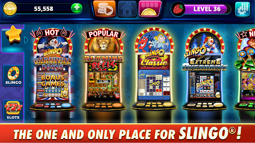 Slingo Arcade: Bingo Slot Game Screenshot4