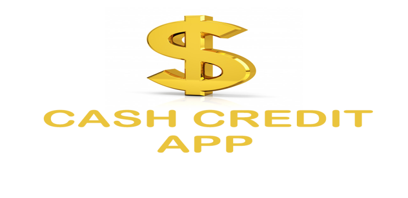 Cash Credit App Screenshot1