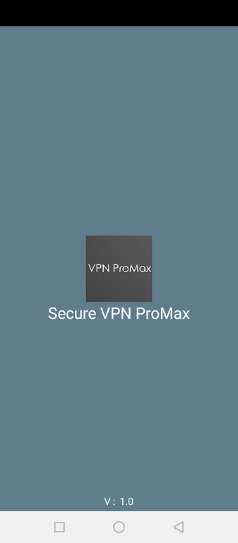 Secure VPN ProMax Screenshot3