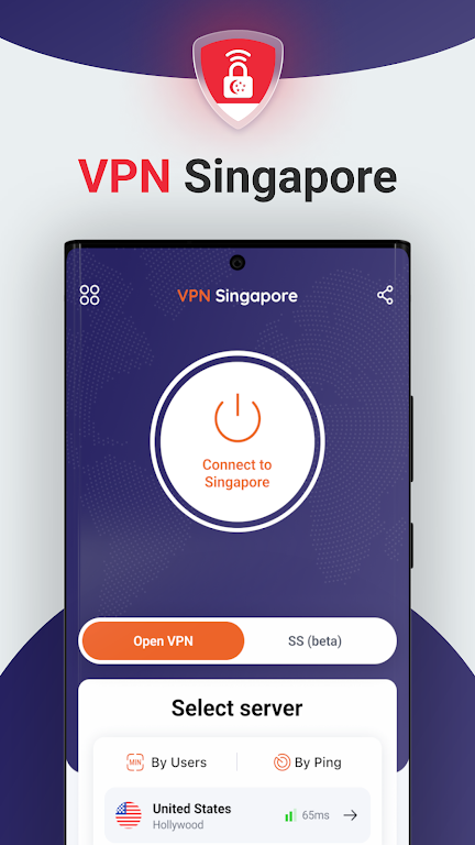 VPN Singapore Screenshot1