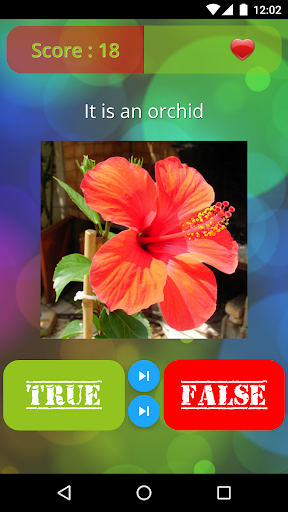 True or False? Trivia Quiz! Screenshot2