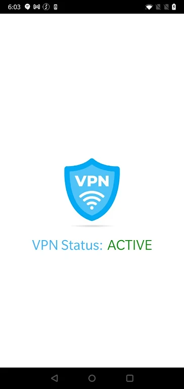 VPN Detect Screenshot1