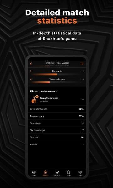 FC Shakhtar Screenshot2