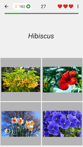 Flowers - Botanical Quiz about Beautiful Plants Screenshot4