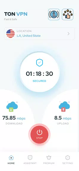 Ton VPN: Secure & Fast Screenshot3