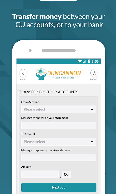 Dungannon Credit Union Screenshot4