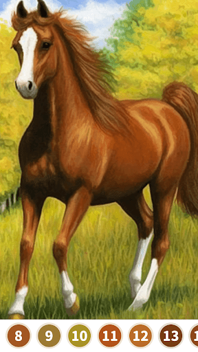 Horse Color by Number Screenshot4