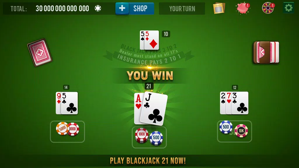 BLACKJACK 21 - 21 Card Game Screenshot1