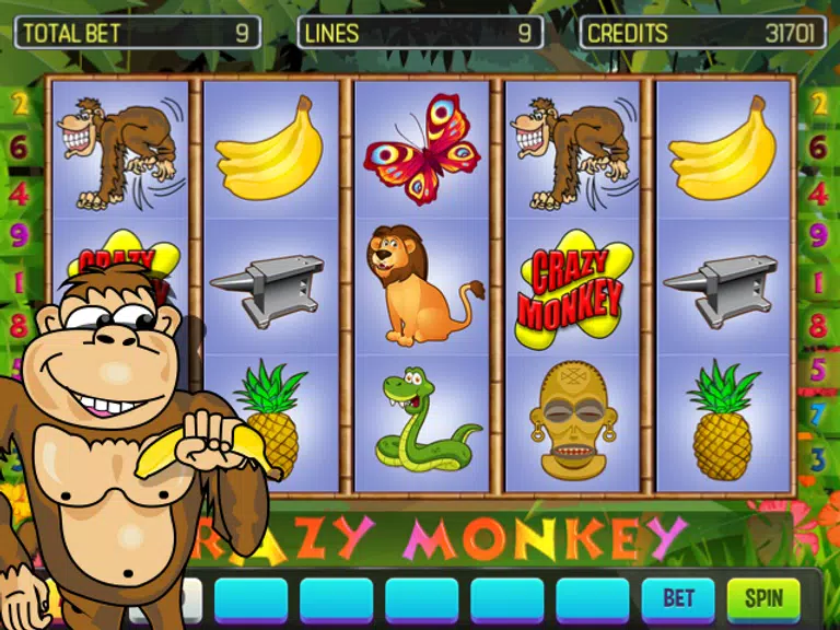 Crazy Monkey Deluxe Screenshot1