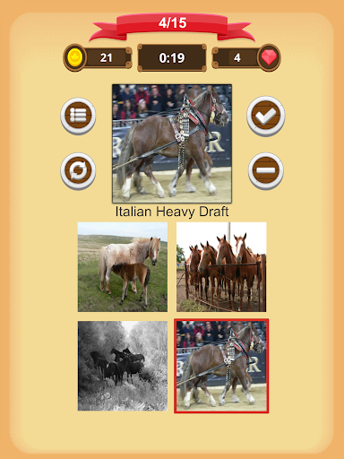 Horse Quiz Screenshot3