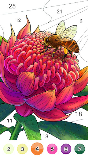 Color Up - Color By Number Screenshot3