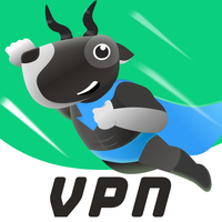 LinkFly VPN：Fast & Secure VPN