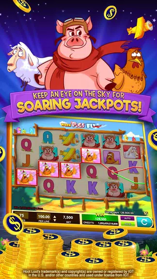 Hoot Loot Casino - Fun Slots! Screenshot2