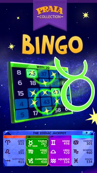 Video Bingo Malibu Screenshot3