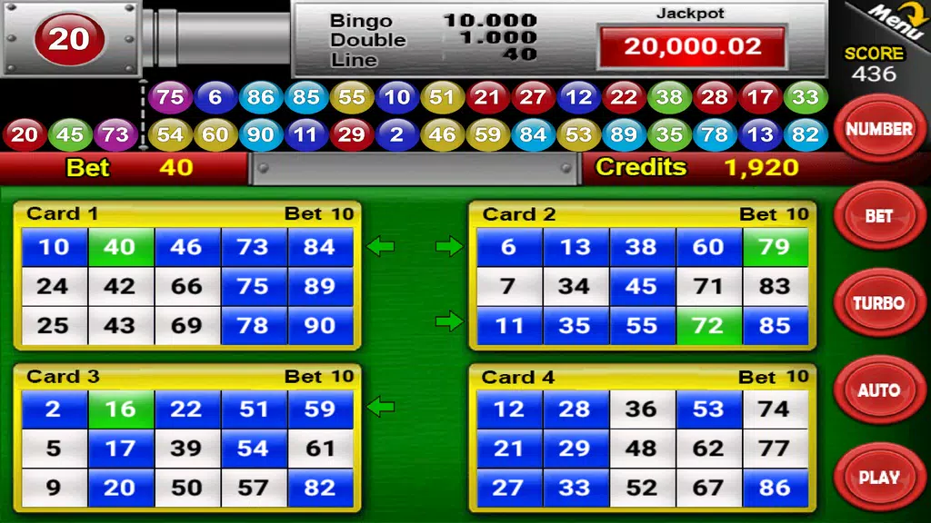 Nine Balls Video Bingo Screenshot2