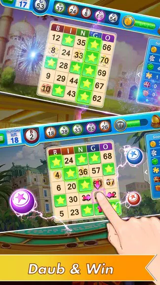 Bingo Hero Offline Bingo Games Screenshot1